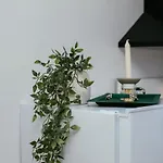 Apartman Barbarosa